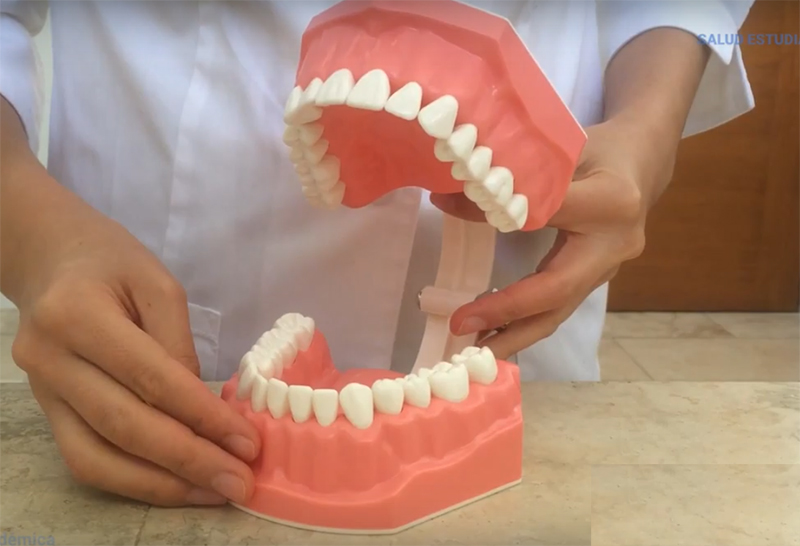 Recursos y técnicas para una correcta limpieza dental
