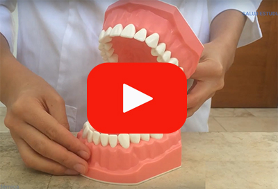 dental cepilladodientes video